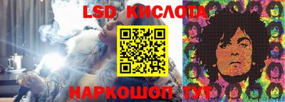 бошки Кимры