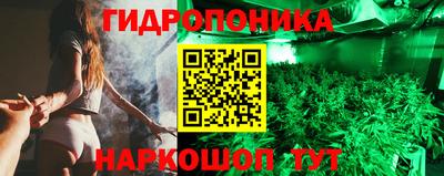 бошки Кимры
