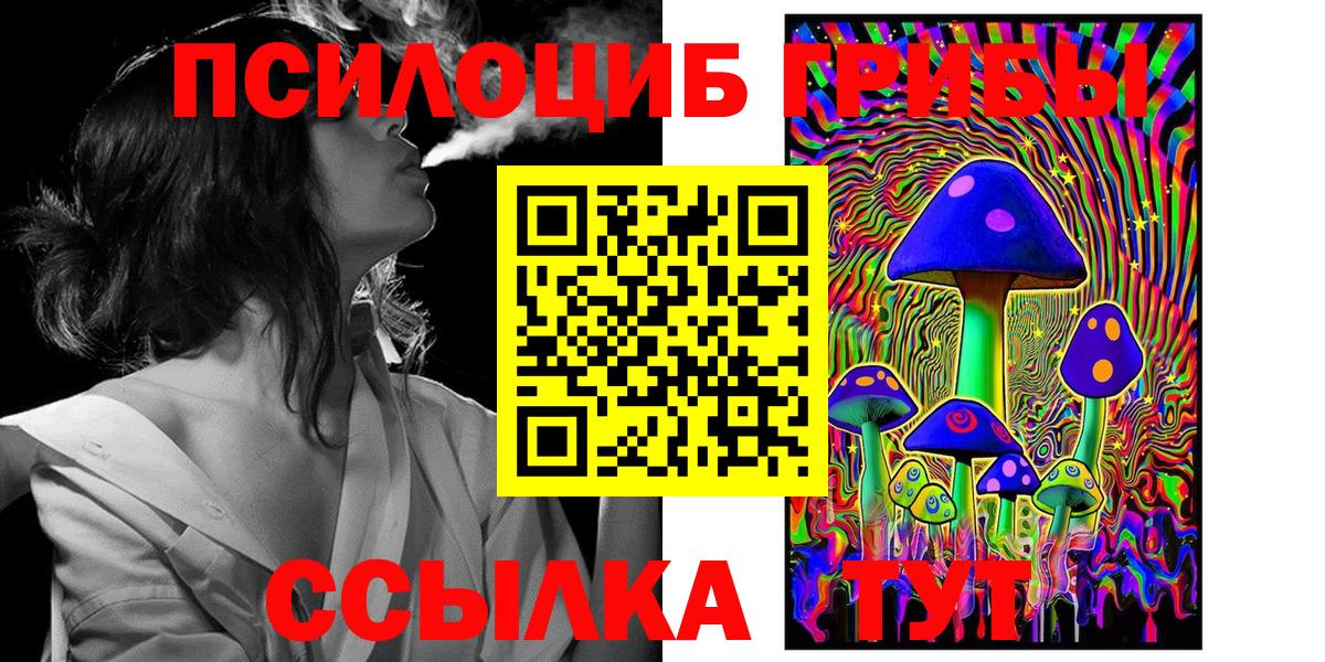 Галлюциногенные грибы Psilocybe Кострома