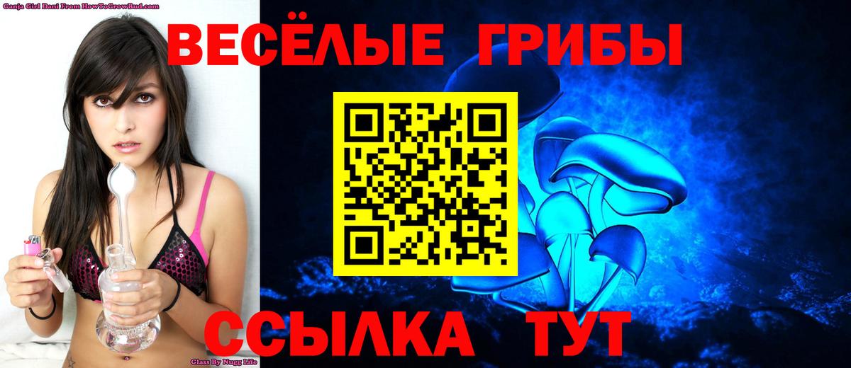 хочу   Вход с VPN  Кострома  Галлюциногенные грибы Cubensis  Галлюциногенные грибы мицелий 